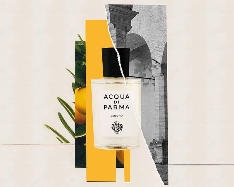 Acqua di shop parma pour homme